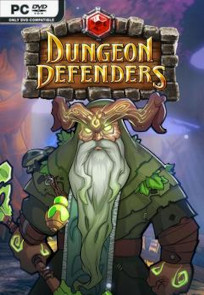 Descargar Dungeon Defenders – Hermit Hero DLC por Torrent