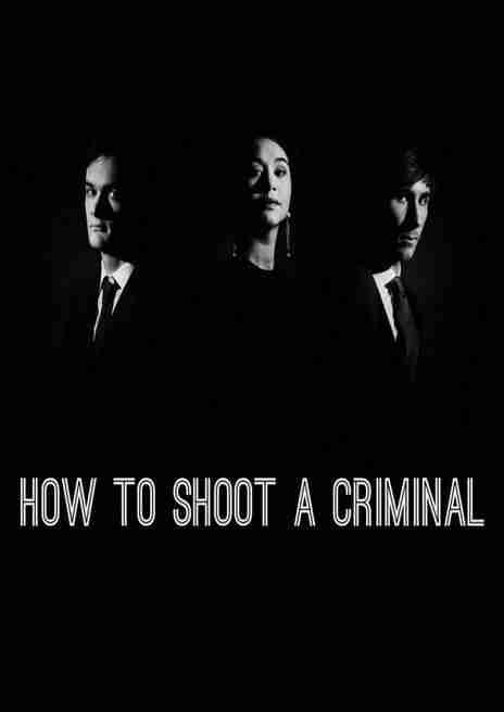 Descargar How to shoot a criminal [MULTI][PLAZA] por Torrent
